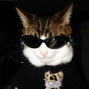 meow