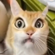 ИП "ИЗДУЛИЗАЛ"