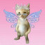 toriiiiiiiiiiiii ✿