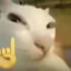dec_mooy