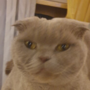 денис жуков