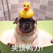 真不是白给！！！