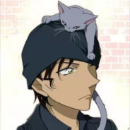 ride the wind and waves