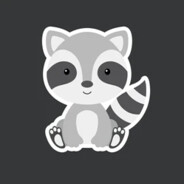 Mapache