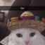 El Cat