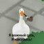 Important_Goose