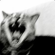 kasssatka