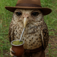 coruja_gaucha