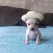 Pablo