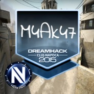 M4AK47Strek csgoway.com avatar