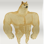 DOGE Steam avatar