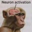 Neuron activation