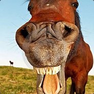 Dvbbfdxc csgotitan.net