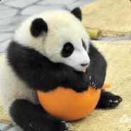 $ ''HuNTeR PaNDa'' $