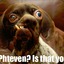 Phteven