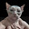 Щикатило
