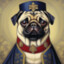 moisha shutnyarа's avatar