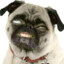 Bjord-