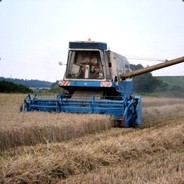 Radim982