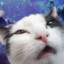 catatonic.