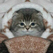 жевжик