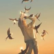 什么都导只会害了你