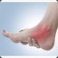 Ankle