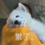帅哥