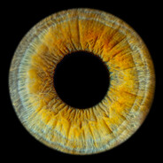 デザートイーグル