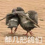 我去畜音未来