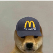 maciora