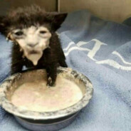 pretinho_bem_negrinho