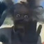 Black drunk