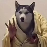 ⚡𝑳𝒊𝒎𝒐𝒃⚡