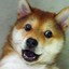 江门陈冠希