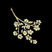 Blossom花