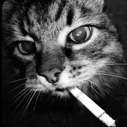 WoggY08 avatar