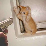 Roscas - steam id 76561197962104802