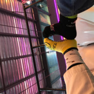 妹妹常规操作-别激动