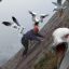 [PR Guys] cGull