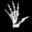 Torn Hand