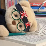 笨蛋总是掉眼泪