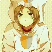 灰熊君