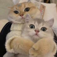 怎么一点还不睡啊