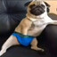 do_dick666's avatar