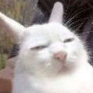 我有社保我先上