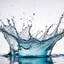 Splash