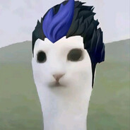 蹲我锚点的是gay