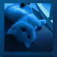 mAgic - steam id 76561199805026160