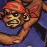 Fearless Flying Monkey